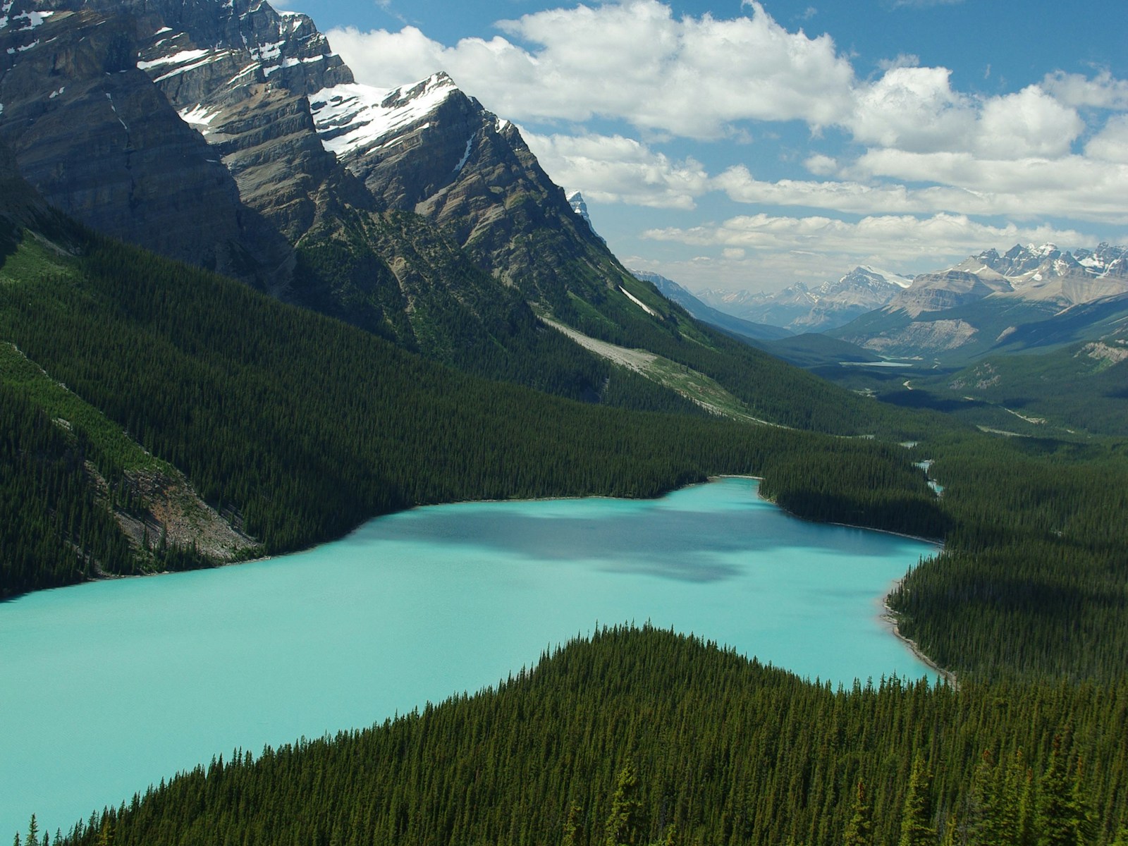 Peyto Lake surrounded by mountains